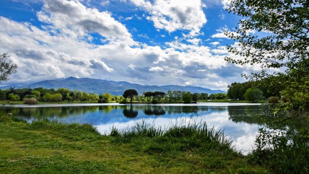 Balade Dolce Vita : Entre Lac, Vignes et Sous-Bois