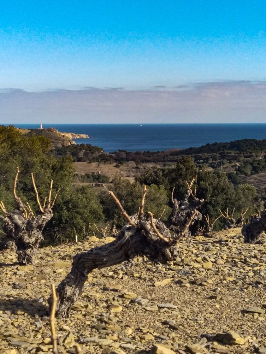Paseo TERRES DES TEMPLIERS