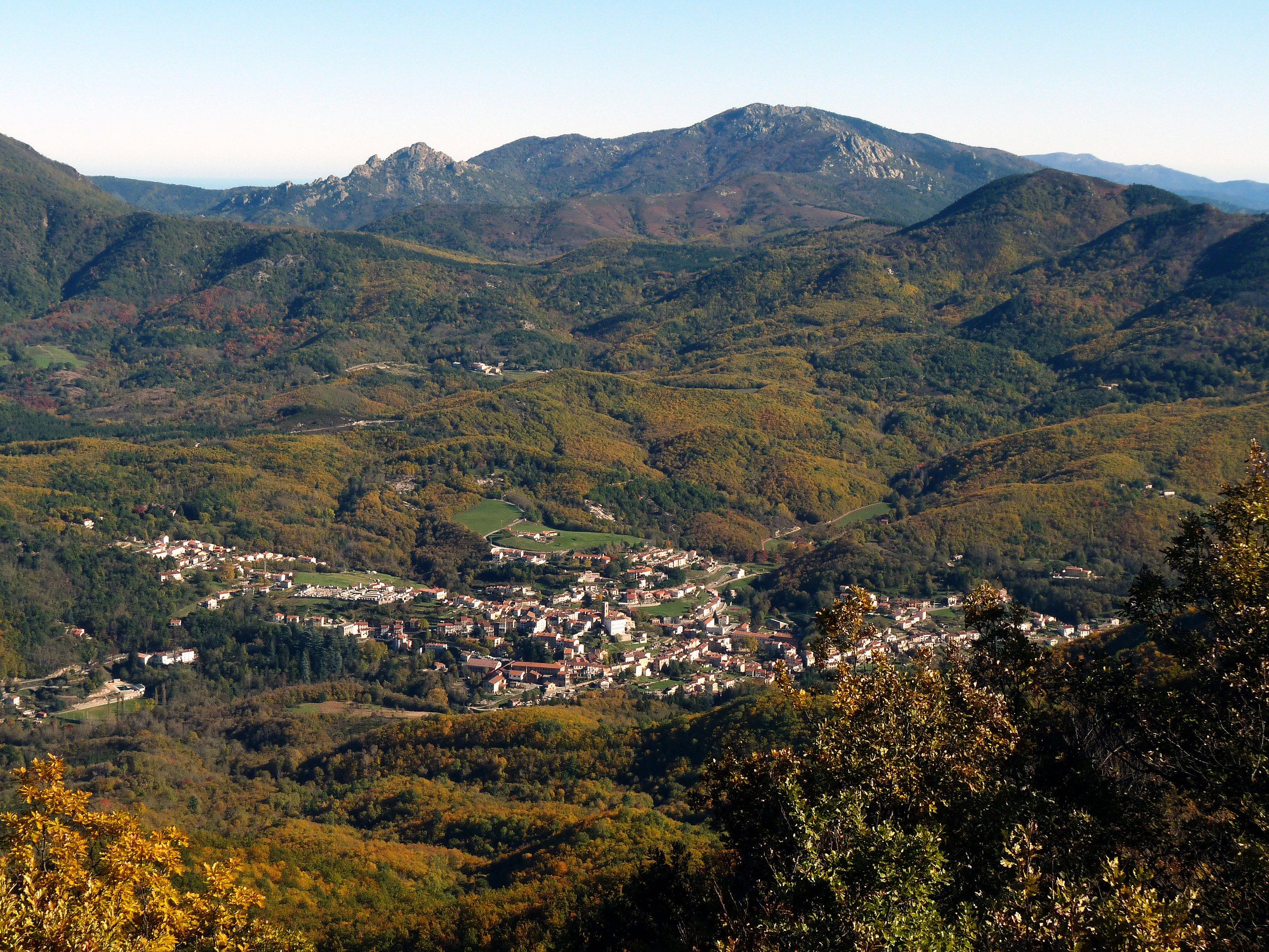 Collioure
