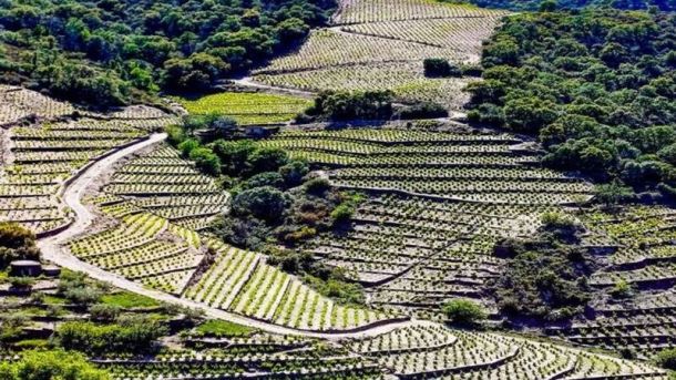 Port-Vendres - domaine claire mayol